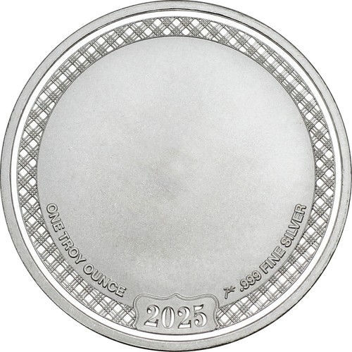 2025 Dated Twins Welcome Baby 1oz .999 Silver Round by SilverTowne in Gift Box - Picture 3 of 8