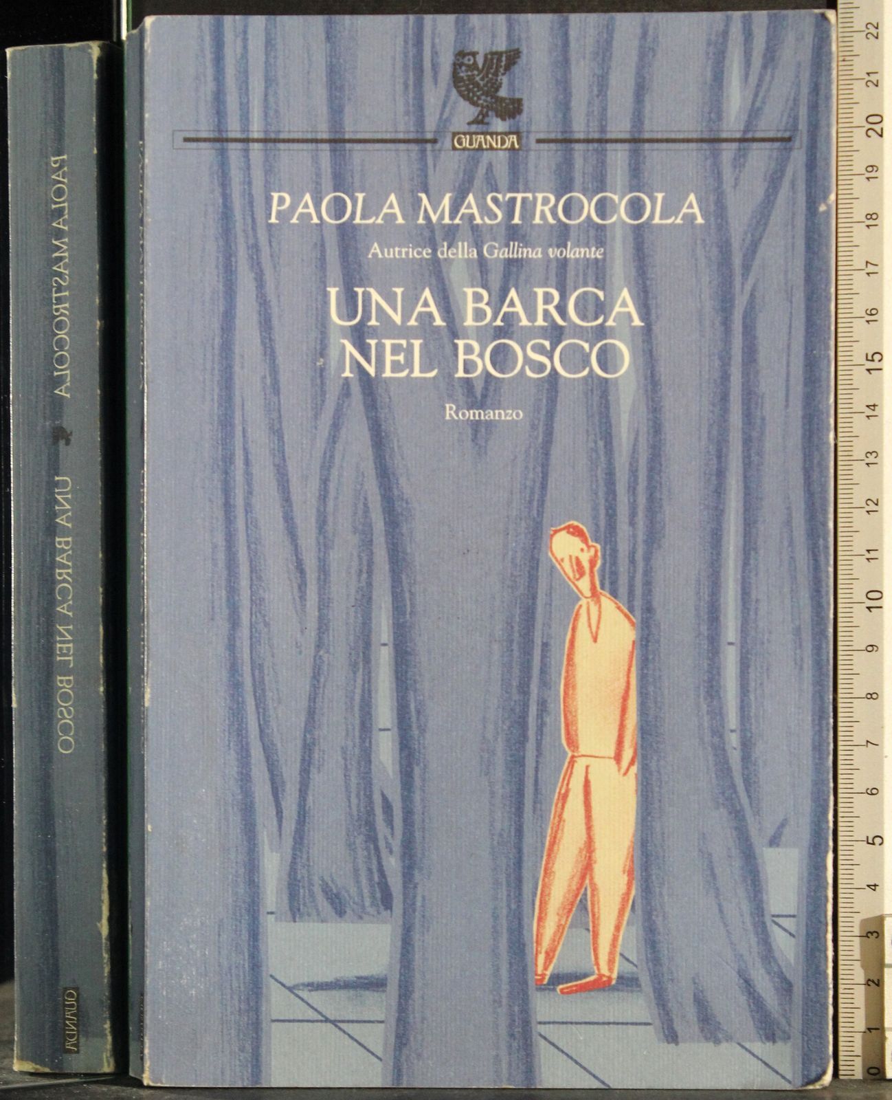 UNA BARCA NEL BOSCO. PAOLA MASTROCOLA. GUANDA.