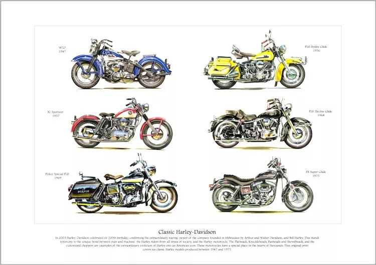 Ebay harley davidson motorcycle outlet