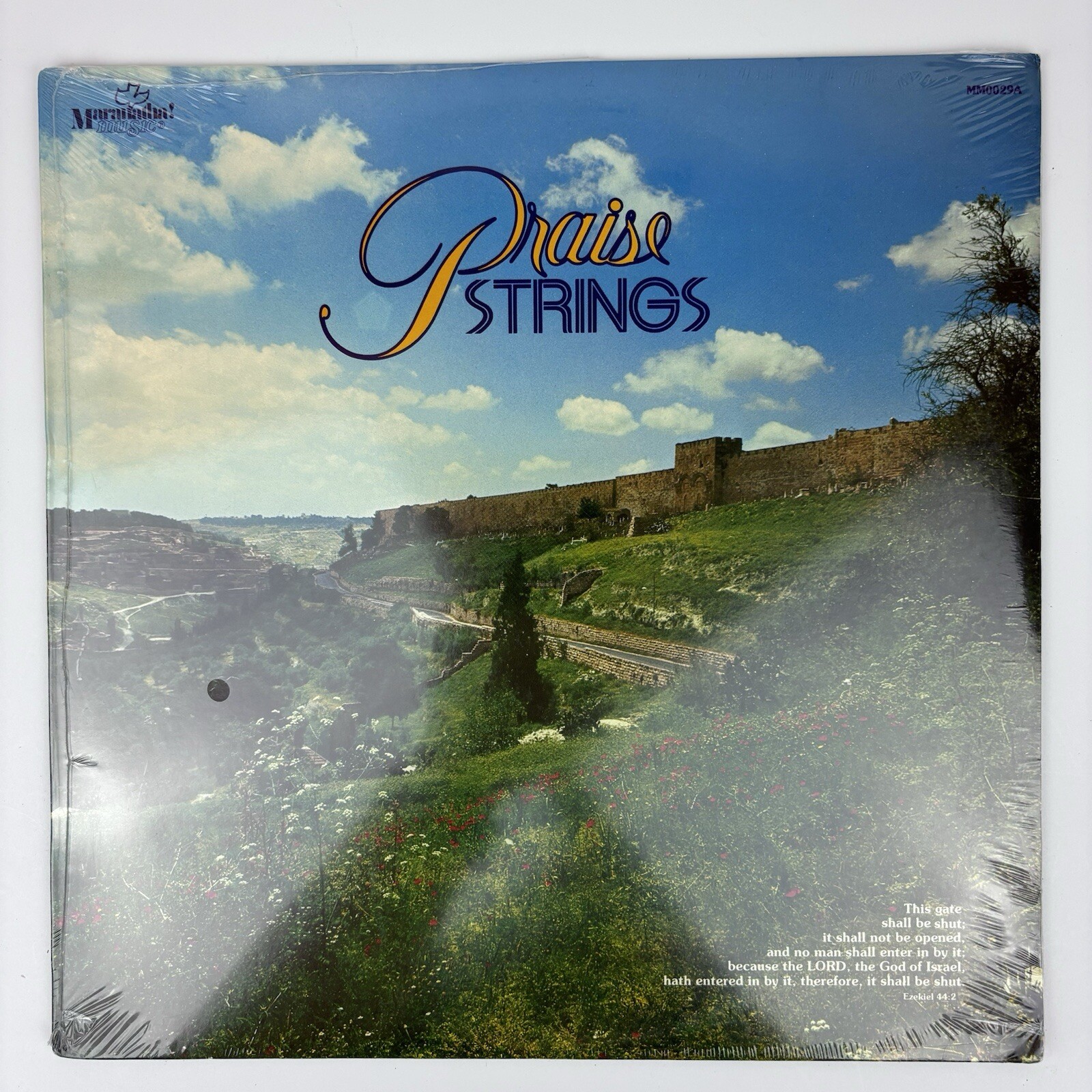 PRAISE STRINGS: praise strings MARANATHA 12