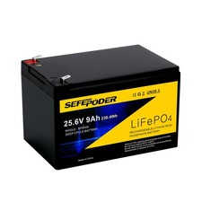24V 9Ah Lithium LiFePO4 Deep Cycle Rechargeable Battery 3000+ Cycles SEFEPODER