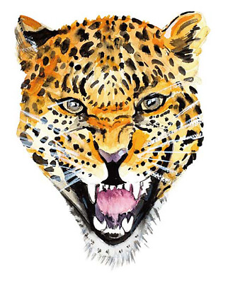 Temporäres Tattoo Leopard Panter Puma Wasserfest Einmal Klebetattoo Körperkunst
