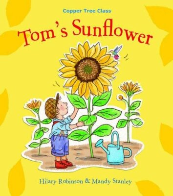 Tom's Sunflower SMSC PSHE esource. (Divorce and family break up) (The Copper T,