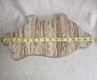 Vintage Pig Shape Formica Cutting Board Farmhouse  Kitchen Decor Wall Hanging — photo 5