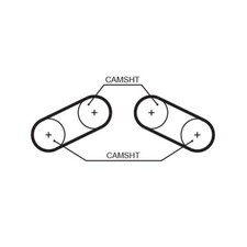 Courroie de distribution Rover 220
