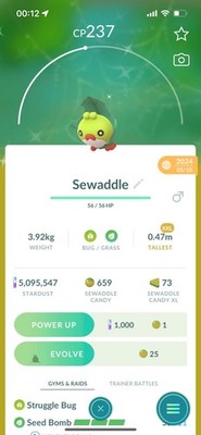 Pokemon Go Shiny Sewaddle (XXL)