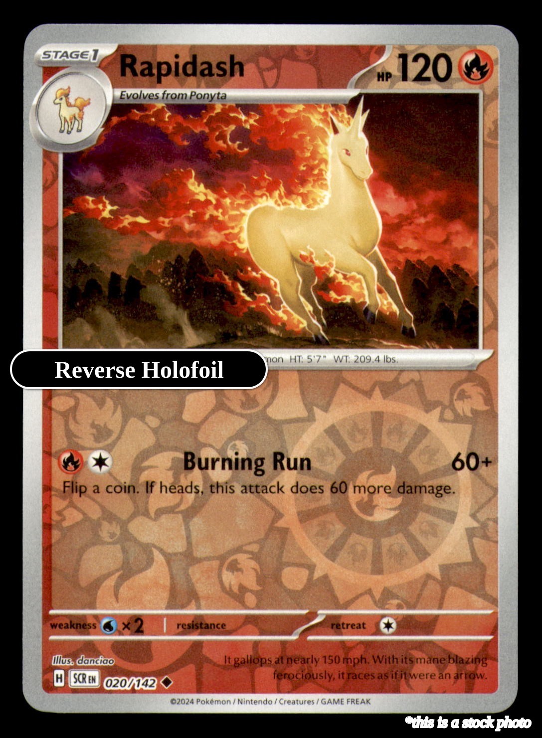 Rapidash SCR 020/142 Pokémon Uncommon NM