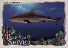 2021 Topps Allen and Ginter Deep Sea Shiver #DSS4 Tiger Shark - NM-MT