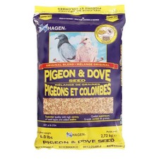 Hagen Pigeon Dove Seed, Original 6 Pound Pack of 1 , version