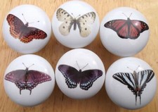 Cabinet Knobs Butterflies Butterfly 9 Pretty  6 Insect