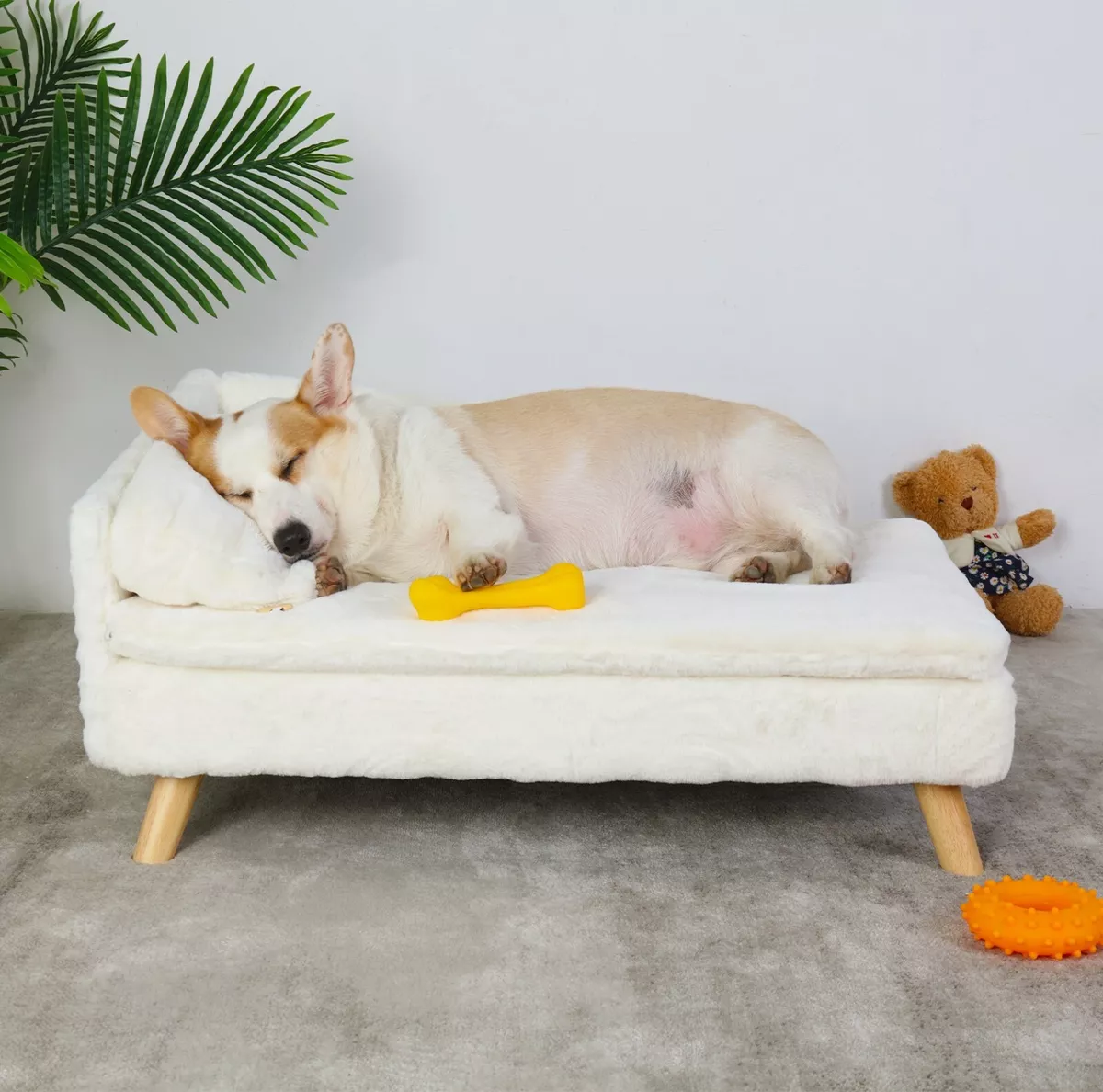 Small dog hotsell sofa bed