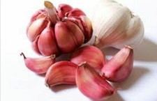 45 Garlic clove,45 Wight garlic cloves/seeds or 4 bulbs (Hardy
