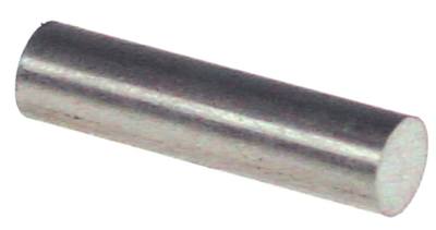 Rational Magnet für Kombidämpfer CM201, CM101, CM102, CM61, CD61 ø 10mm