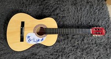 SPONGE ROCK BAND SIGNED AUTOGRAPH 38” ACOUSTIC GUITAR ACOA VINNY +4 PLOWED