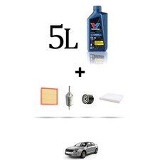 HOFFCAR Kit tagliando 4 FILTRI e 5L OLIO per Ford Fusion 1.4 16v 59kw dal 2002