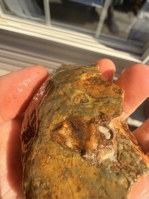 Kentucky Banded Rock Flint Stone