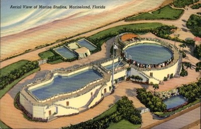 Aerial View of Marine Studios, Marineland, Florida Postcard