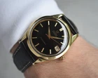 1965 Vintage Omega Seamaster Gold Black Dial Automatic Men's Watch Rare 166.010