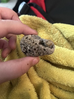 Cool Rock I Found Pretty Cool I Think It s Nice I Found In Hiding Behind A House