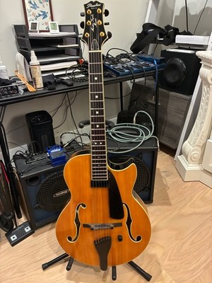 Peerless Maestro Guitar