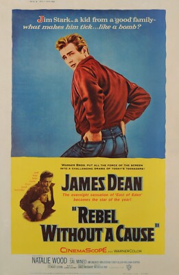 Free Same Day Shipping REBEL WITHOUT A CAUSE James Dean 11x17 Poster