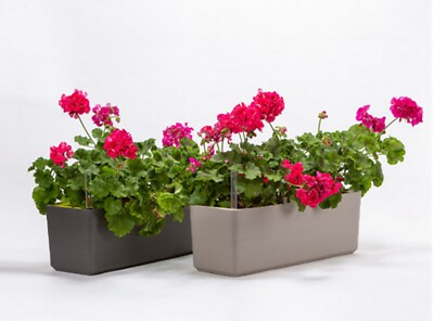 Blumenkasten Pflanzkasten mit Bewsserungssystem Selbstbewsserung 60 und  80cm | eBay.de