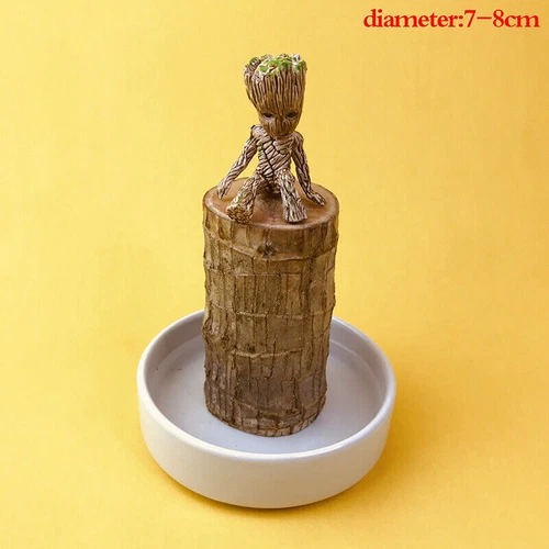 Groot Green Plant Brazilian Wood Water Raise Lucky Wood Potted Small Tree Peo UK - Picture 12 of 19