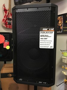peavey dm 112