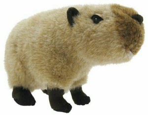 capybara doll