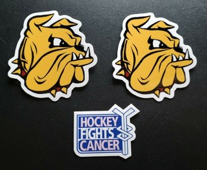 hockey fights cancer sticker