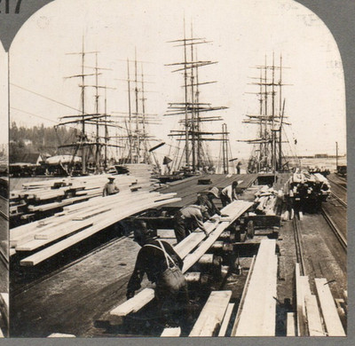 Men Shipping Lumber in Washington State.   Stereoview Photo