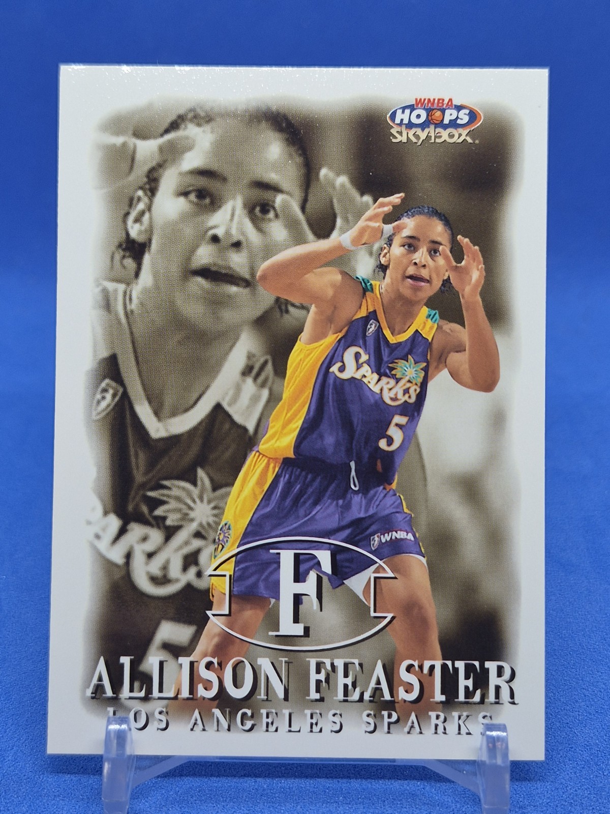 1999 WNBA Hoops Skybox Allison Feaster #100 