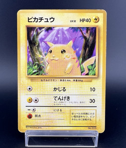 Pikachu No Rarity | eBay