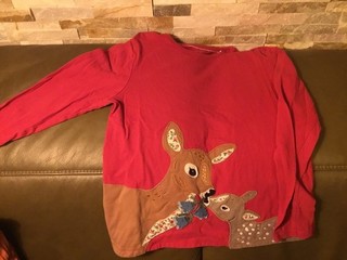 Boden/Miniboden Langarmshirt Gar. 152 Rehmotiv