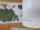 Bild 11 von 16