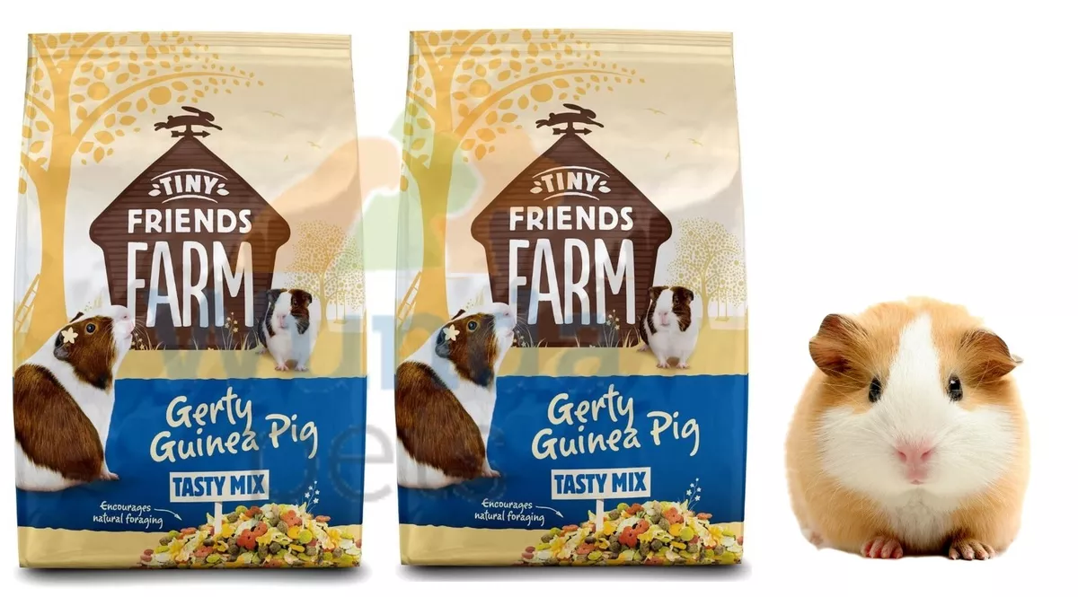 SUPREME GERTY GUINEA PIG COMPLETE BALANCED DIET MUESLI FOOD 2 X