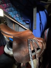 Full Tree racing Exercise Saddle