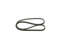 Bosch Keilrippenriemen 1 987 947 905 FüR Tipo Dedra Lancia Mazda KIA Fiat Tempra
