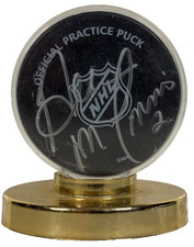 St. Louis Blues Collecting and Fan Guide 78
