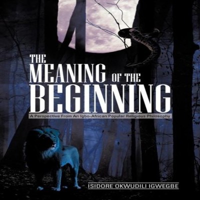 THE MEANING OF THE BEGINNING A Perspective from an Igbo-African P