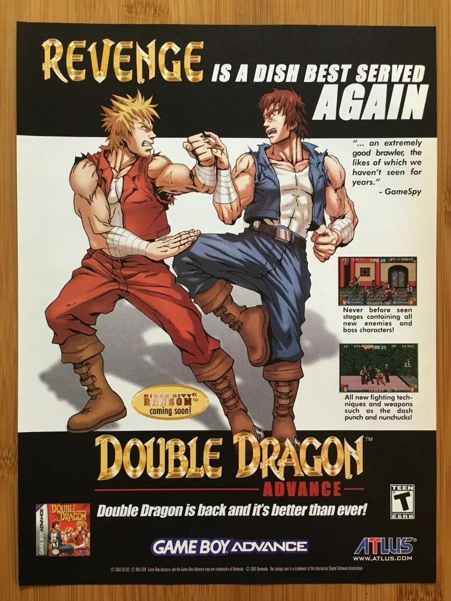 Double Dragon Advance (2003)