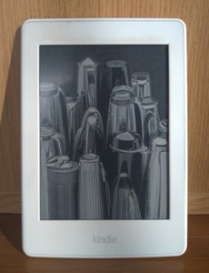 Kindle Paperwhite 12th Generation 32GB | eBay
