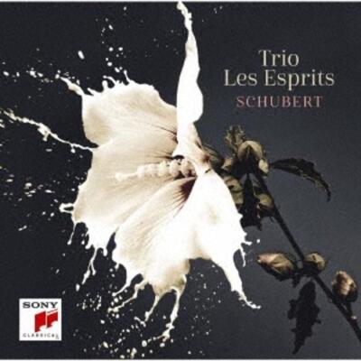 Schubert: Piano Mie -in Person No. 1 & No. 2 etc.