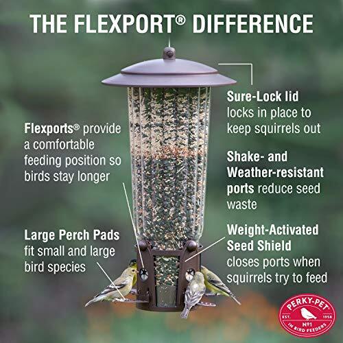 334-1SR Squirrel-Be-Gone Max Large Wild Bird Feeder with