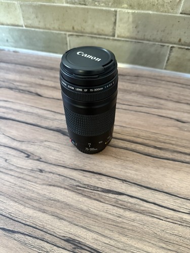 Objectif Canon 75-300 mm 1:4-5.6 II / 1.5m/4.9 ft , fonctionnel .