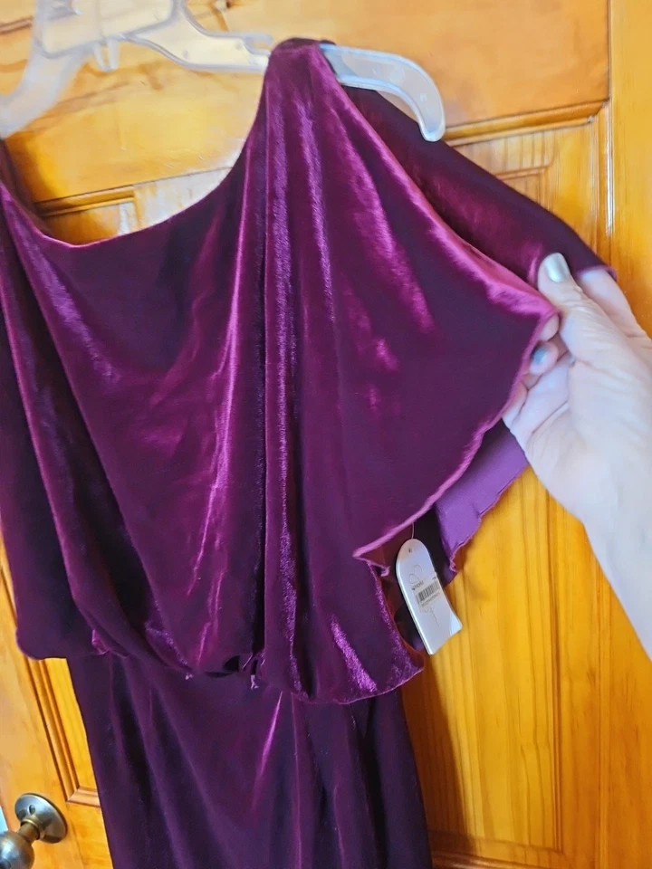 Jessica Simpson Women's Velour Lined Dress Size 6 NWT - Image 4 of 4