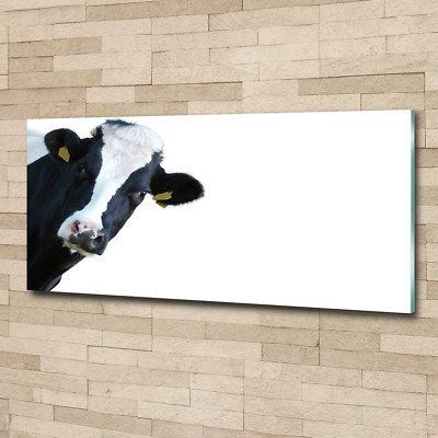Glas-Bild Wandbilder Druck auf Glas 125x50 Deko Tiere Kuh