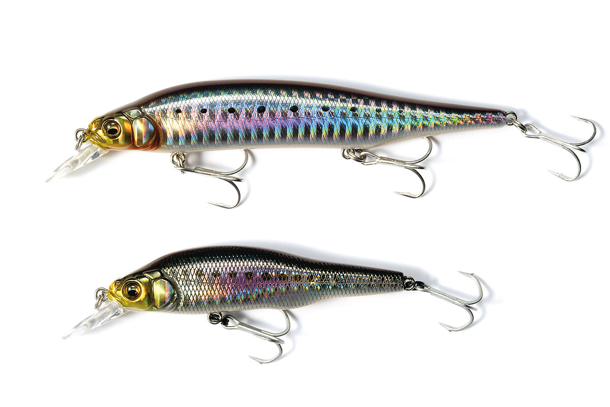 Megabass X-80 Magnum Affondamento Esca GG IL Iwashi (7000