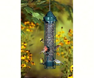 Gc Brome Bird Care Squirrel Buster Feeder Classic Ebay