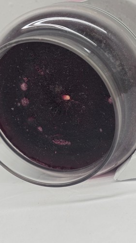 Yankee Candle-RASPBERRY SORBET-Discontinued. BLACK BAND. Housewarmer. RARE. New - Picture 7 of 7
